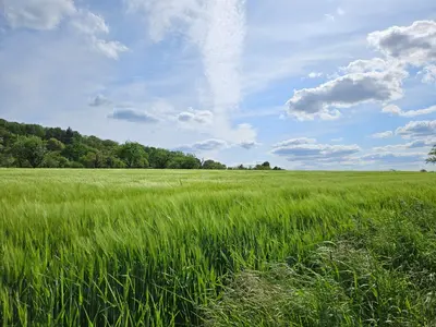Naturlandschaft in der Nähe der Ferienwohnung