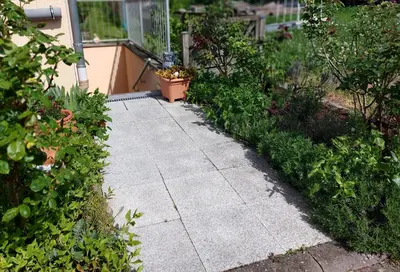 Ein Garten an der Unterkunft Ferienwohnung Freitag