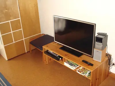 TV/Unterhaltungsangebot in der Unterkunft Ferienwohnung-Barrique