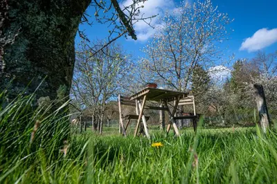 Ein Garten an der Unterkunft Zum Henner