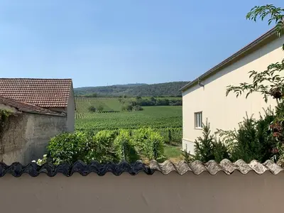 Naturlandschaft in der Nähe des Hotels