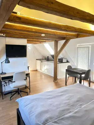 TV/Unterhaltungsangebot in der Unterkunft 1 Zimmer Wohnung DG mit Klimaanlage und kleinen Balkon