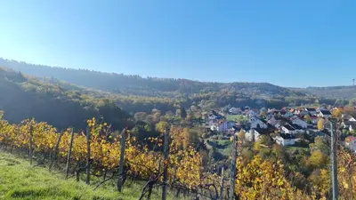 Naturlandschaft in der Nähe der Ferienwohnung