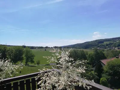 Naturlandschaft in der Nähe der Ferienwohnung