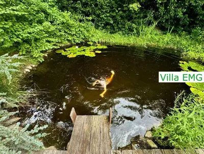 Naturlandschaft in der Nähe der Villa