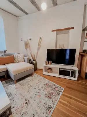 TV/Unterhaltungsangebot in der Unterkunft Ferienwohnung in maison de grès