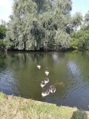 Blick auf einen Fluss in der Nähe der Ferienwohnung