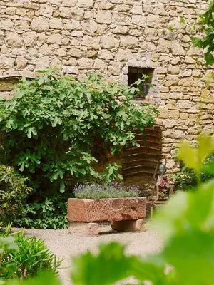Ein Garten an der Unterkunft Urige Schlaffässer im Winzergarten inklusive Weinprobe