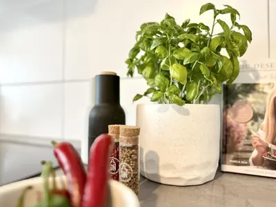 Getränke in der Unterkunft MyStay I Central Lofts I Superior Design Apartments Heidelberg