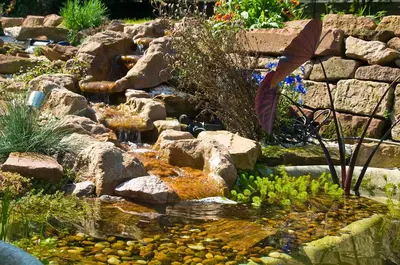 Ein Garten an der Unterkunft Alte Försterei