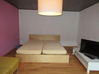 TV/Unterhaltungsangebot in der Unterkunft Ferienwohnung in Waldnähe