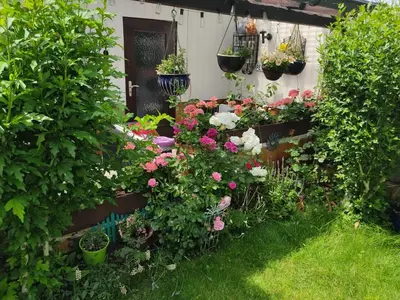 Ein Garten an der Unterkunft Schöne 3 Zi. Ferienwohnung vor den Toren Frankfurt