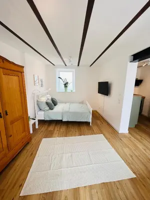 TV/Unterhaltungsangebot in der Unterkunft Vyne Apartments - Studio - Privater Hof - Parkplatz - nahe Weinstraße