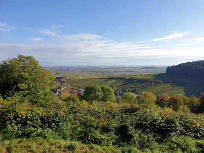 Naturlandschaft in der Nähe der Ferienwohnung