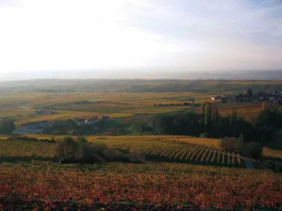 Naturlandschaft in der Nähe des Gasthauses