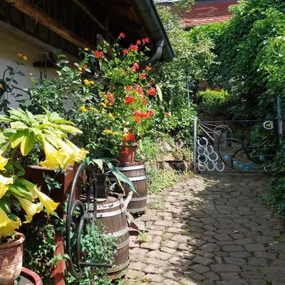 Ein Garten an der Unterkunft Beim Schlafwandler