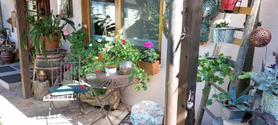 Ein Garten an der Unterkunft Beim Schlafwandler