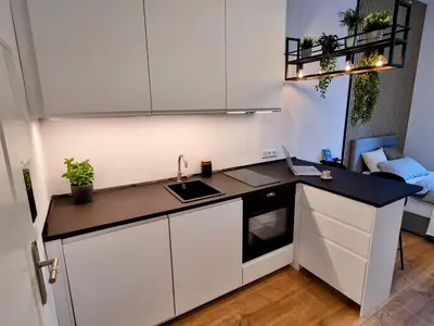 Küche/Küchenzeile in der Unterkunft Modernes Apartment im Zentrum von Karlsruhe