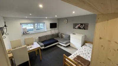 TV/Unterhaltungsangebot in der Unterkunft Nice Apartment in Mörfelden