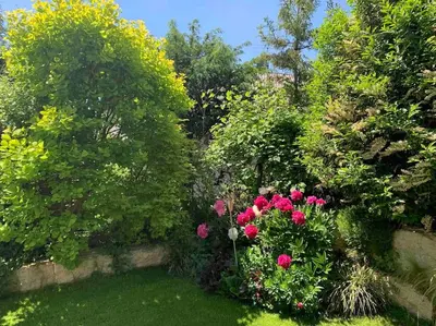 Ein Garten an der Unterkunft Exklusive Wohnung mit herrlicher Terrasse und Garten