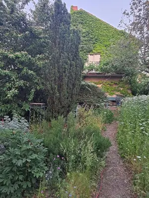 Naturlandschaft in der Nähe des Privatzimmers