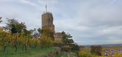 Naturlandschaft in der Nähe der Ferienwohnung