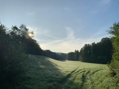 Naturlandschaft in der Nähe der Ferienwohnung