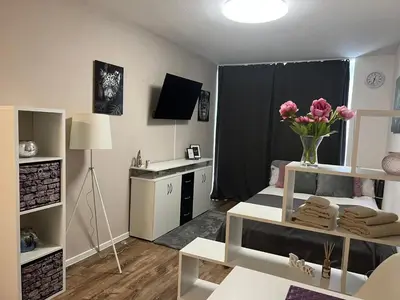Küche/Küchenzeile in der Unterkunft Business Appartement in Mainz Bretzenheim