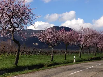 Naturlandschaft in der Nähe der Ferienwohnung