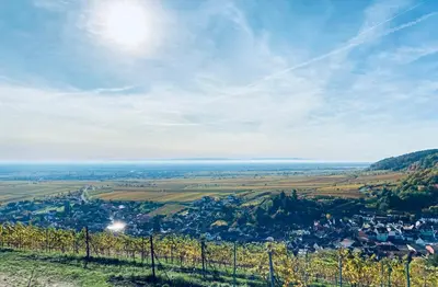Naturlandschaft in der Nähe der Ferienwohnung
