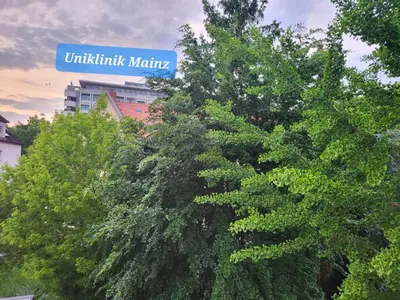 Grundriss der Unterkunft Privatzimmer an der Universitätsklinik Mainz-sehr zentral