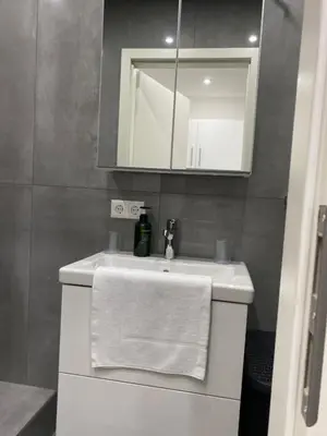Ein Badezimmer in der Unterkunft STN Apartment Suite - Ferienwohnung mit 2 Schlafzimmer & Parkplatz, Highspeed WLAN, Fußbodenheizung & Netflix Premium, Zentral zu Audi & Schwarz Gruppe