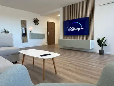 TV/Unterhaltungsangebot in der Unterkunft Hellenbrand: Stilvolles Apartment über den Dächern