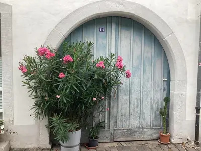 Ein Garten an der Unterkunft Ferienhäuschen am Heumarkt