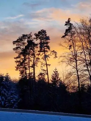 Naturlandschaft in der Nähe der Ferienwohnung