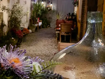 Ein Garten an der Unterkunft Altstadt Speyer