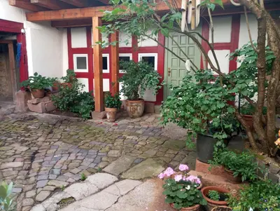Ein Garten an der Unterkunft Ferienwohnung Unterm Schloß