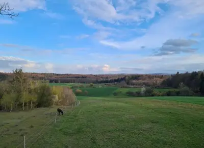 Naturlandschaft in der Nähe der Ferienwohnung