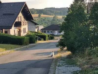 Naturlandschaft in der Nähe der Ferienwohnung