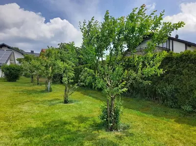 Ein Garten an der Unterkunft 1-Zimmer-Studio am Waldrand