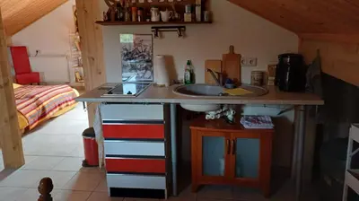 Küche/Küchenzeile in der Unterkunft 1-Zimmer-Studio am Waldrand