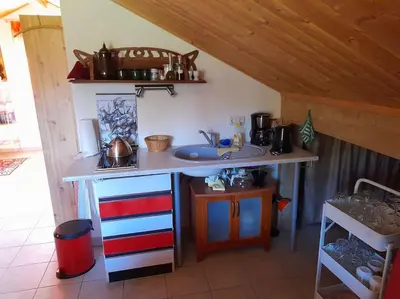 Küche/Küchenzeile in der Unterkunft 1-Zimmer-Studio am Waldrand