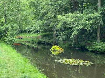 Naturlandschaft in der Nähe des Ferienhauses