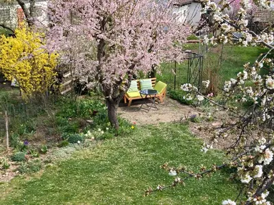 Ein Garten an der Unterkunft Terrassenwohnung