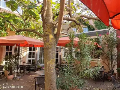 Ein Garten an der Unterkunft Weingut Weinstube Weinhotel Wolf
