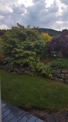 Naturlandschaft in der Nähe des Ferienhauses