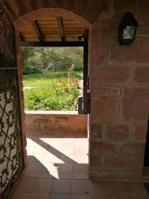 Ein Garten an der Unterkunft Home Relax 31