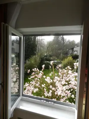 Ein Garten an der Unterkunft Home Relax 31