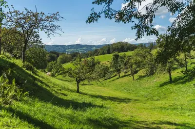 Naturlandschaft in der Nähe der Ferienwohnung