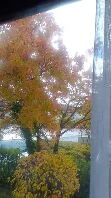 Ein Garten an der Unterkunft Ankommen und Wohlfühlen